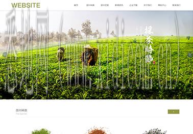 绍兴网站建设价格