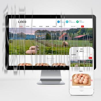 手机网站建设