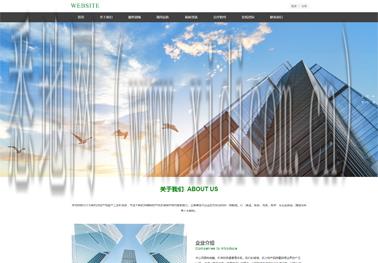 衮阳网站建设公司
