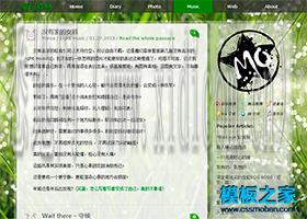 天津网站建设公司