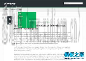 青岛网站建设哪家好