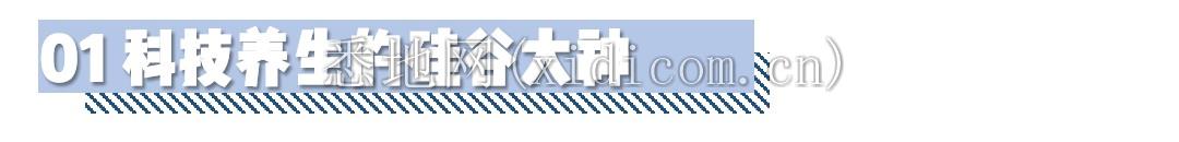 小标题1.png