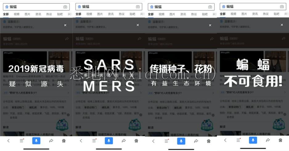 图片33.png