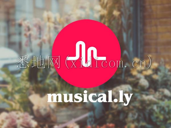 how-to-use-musical-ly-app-18-1503061979.jpg