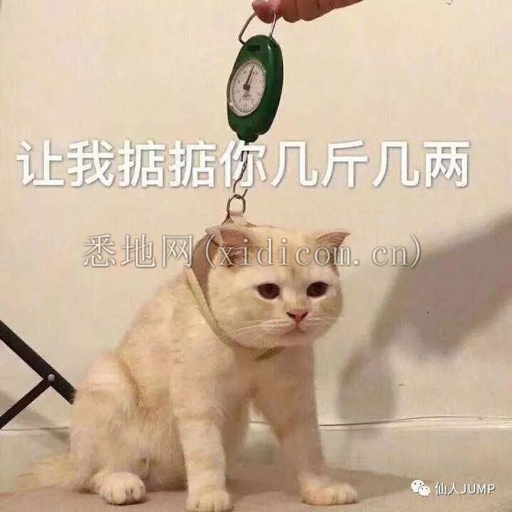 6403.jpg