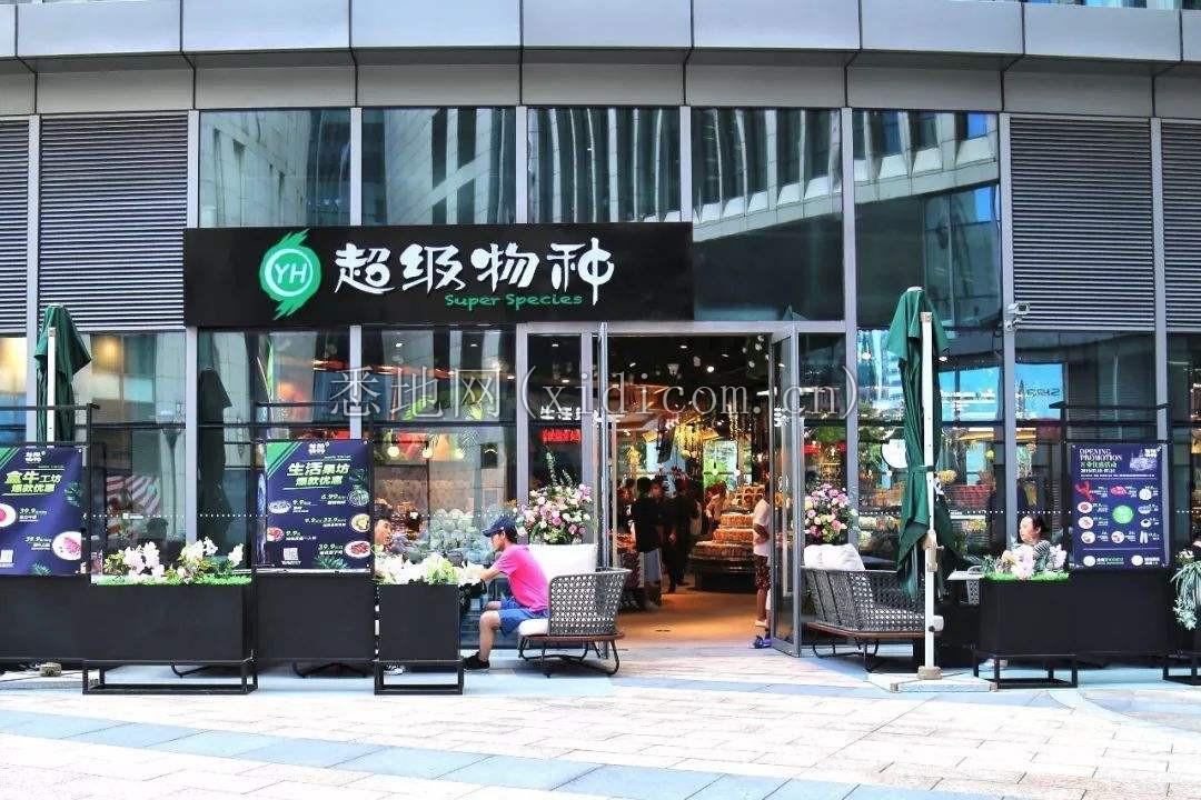 盒马们的十字路口4.png