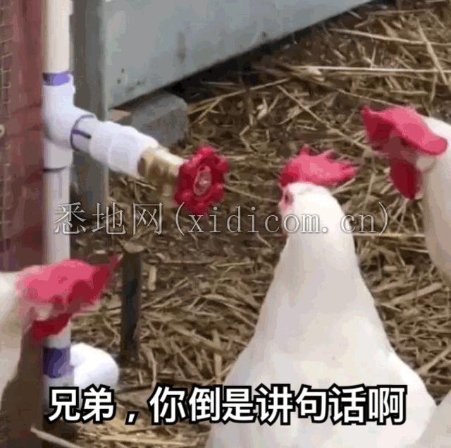 image15.gif