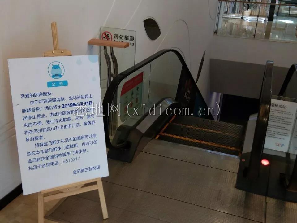 盒马们的十字路口2.png