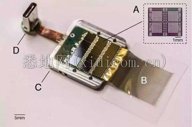 马斯克的“大脑改造计划”，还需要点亮哪些技能树？
