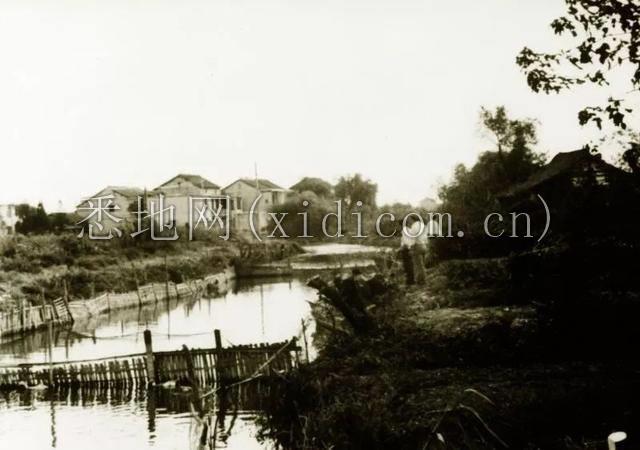 揭秘“创业公司”张江高科成长史：从农田到上海“西二旗”