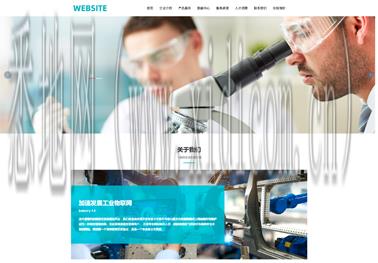 建设网站建站服务