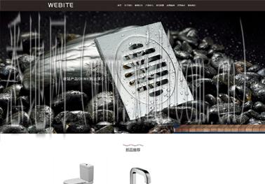 定制化网站建设