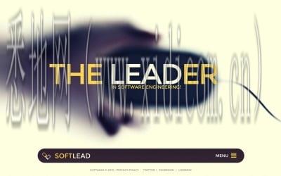 成都网站建设冠辰