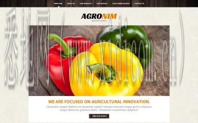 台州网站建设价格