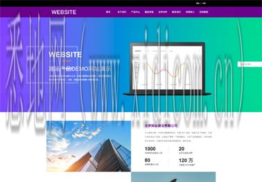 定制化网站建设