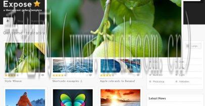 免费域名注册平台