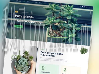 株洲网站建设价格