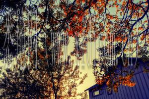 杭州网站建设公司