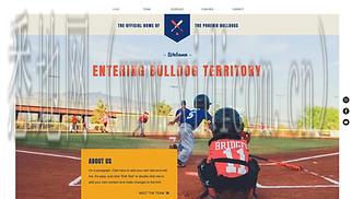 南吕网站建设公司