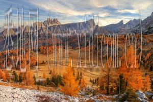 重庆网站建设价格