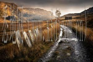 网站建设哪家好