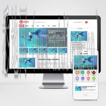 金华网站建设公司