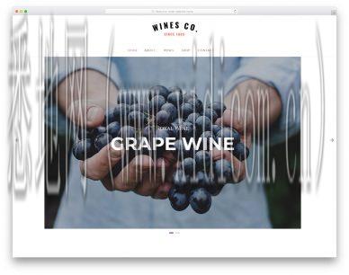 温州网站建设公司