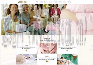 品牌网站建设公司