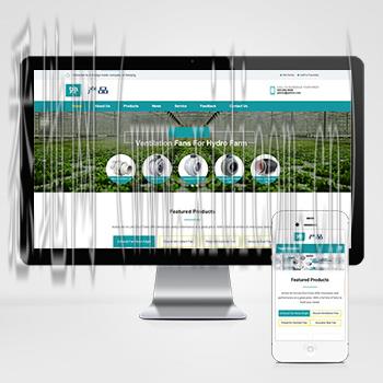 湛江网站建设价格