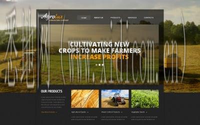 大连网站建设价格