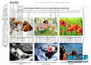 天津网站建设价格