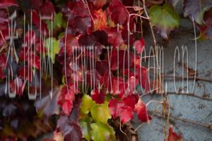 乌鲁木齐网站建设公司