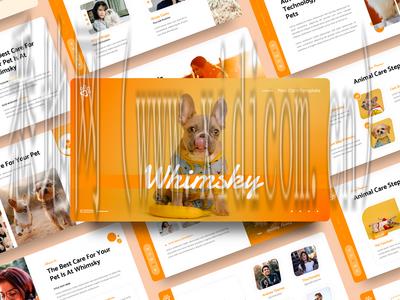 网站建设中图片