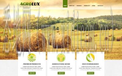 茂名网站建设公司