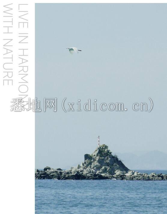 1706165500229952.jpg 24.jpg