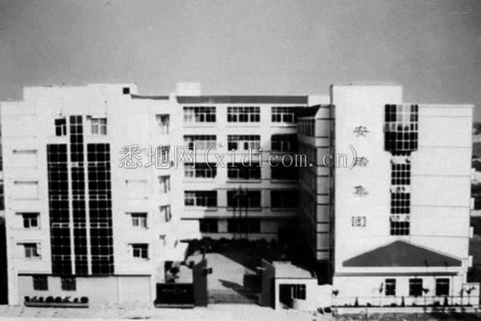 三十而立的安踏，缺的不仅是氮科技