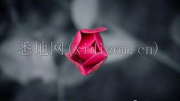 屏幕快照 2019-04-25 下午2.22.03.png