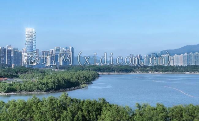 1706165486608724.jpg 22.jpg