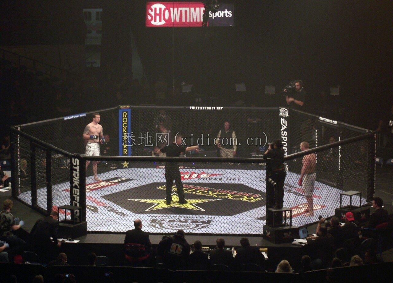 Strikeforce_cage_2011-01-07.jpg