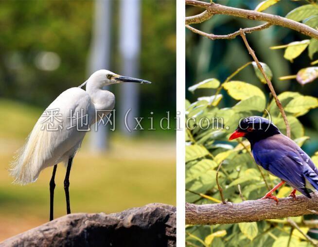 1706165513203195.jpg 23.jpg