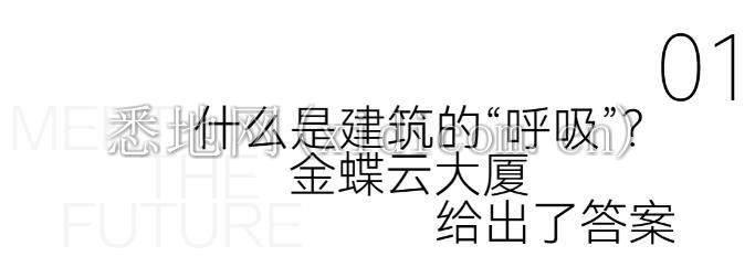 1706165333355249.jpg 4.jpg